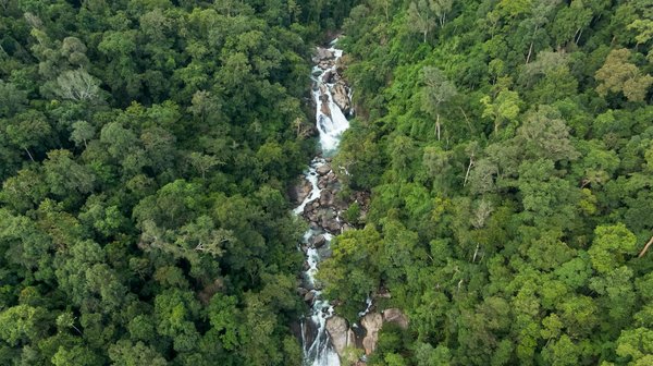 Blockchain: révolutionnez votre entreprise