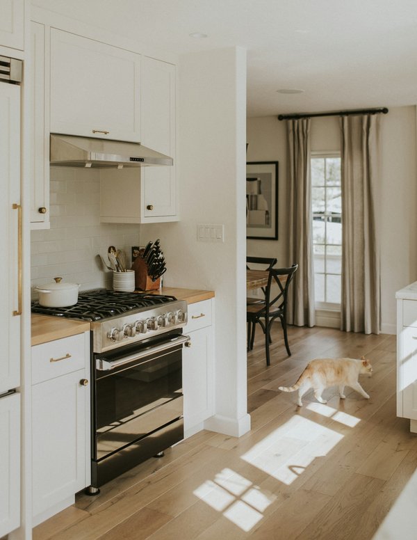 Choisir le meilleur moteur de hotte professionnelle : les clés